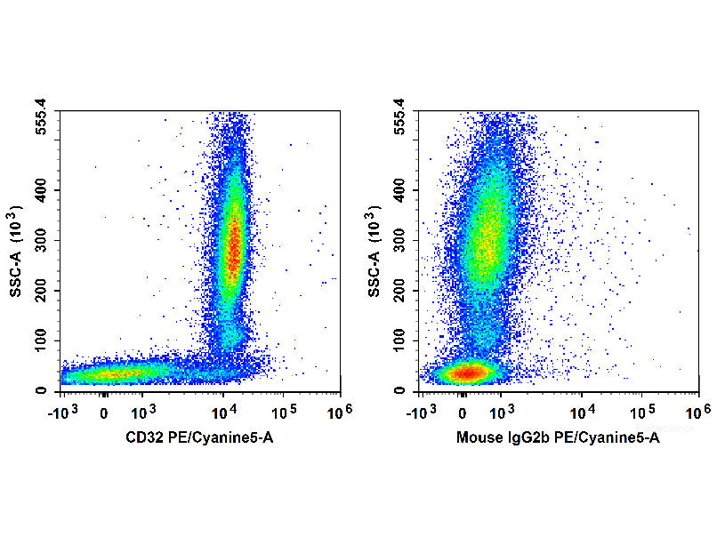 PE/Cyanine5 Anti-Human CD32 Antibody[IV-3] - MSE Supplies LLC