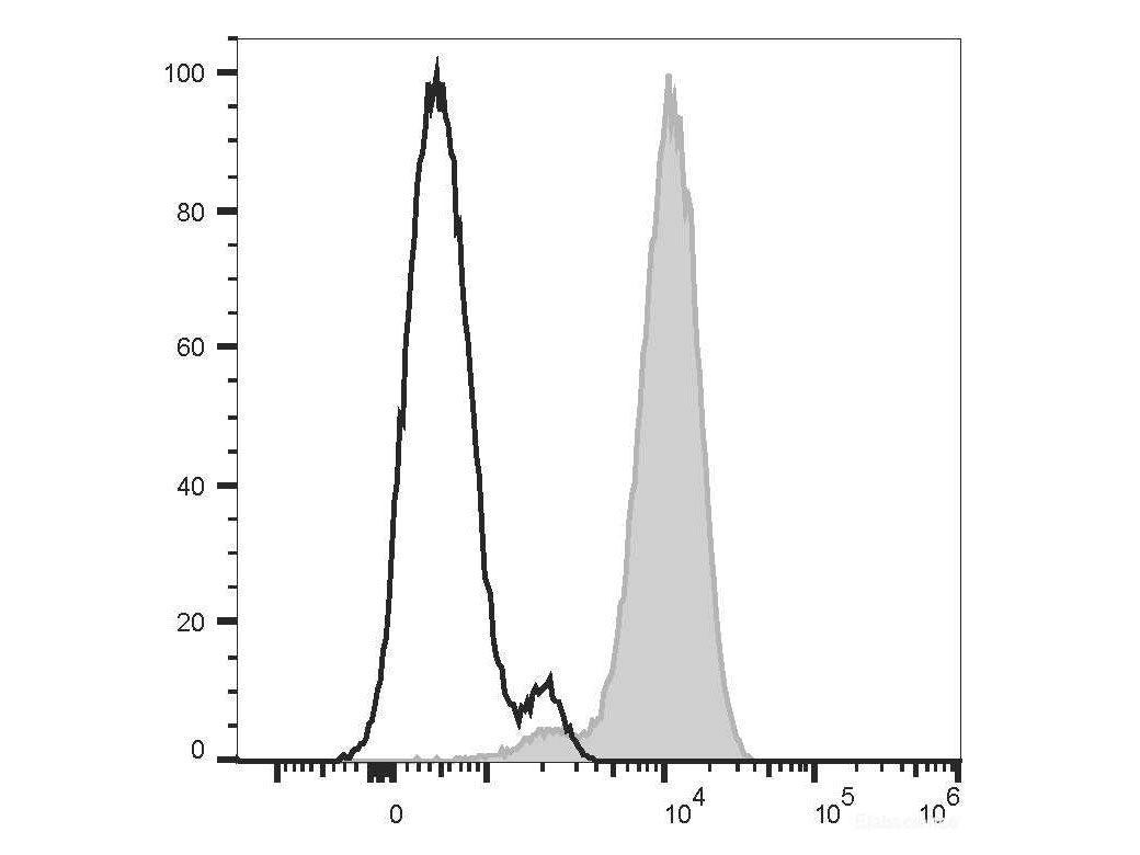PE Anti-Human CD10 Antibody[CB-CALLA]