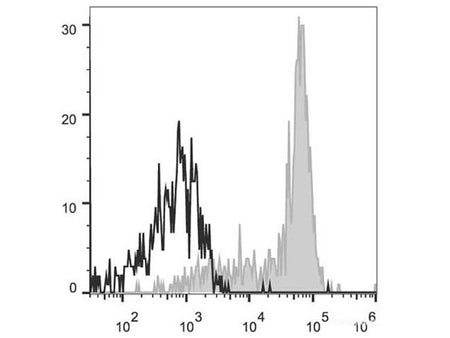 APC Anti-Human CD64 Antibody[10.1], Biomarkers, Elabscience Biotechnology, MSE Supplies