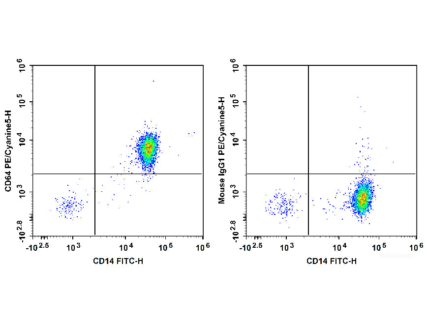 PE/Cyanine5 Anti-Human CD64 Antibody[10.1], Biomarkers, Elabscience Biotechnology, MSE Supplies