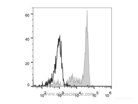 PE Anti-Human CD33 Antibody[6C5], Biomarkers, Elabscience Biotechnology, MSE Supplies
