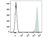 Elab Fluor® 647 Anti-Human CD41 Antibody[HIP8], Biomarkers, Elabscience Biotechnology, MSE Supplies