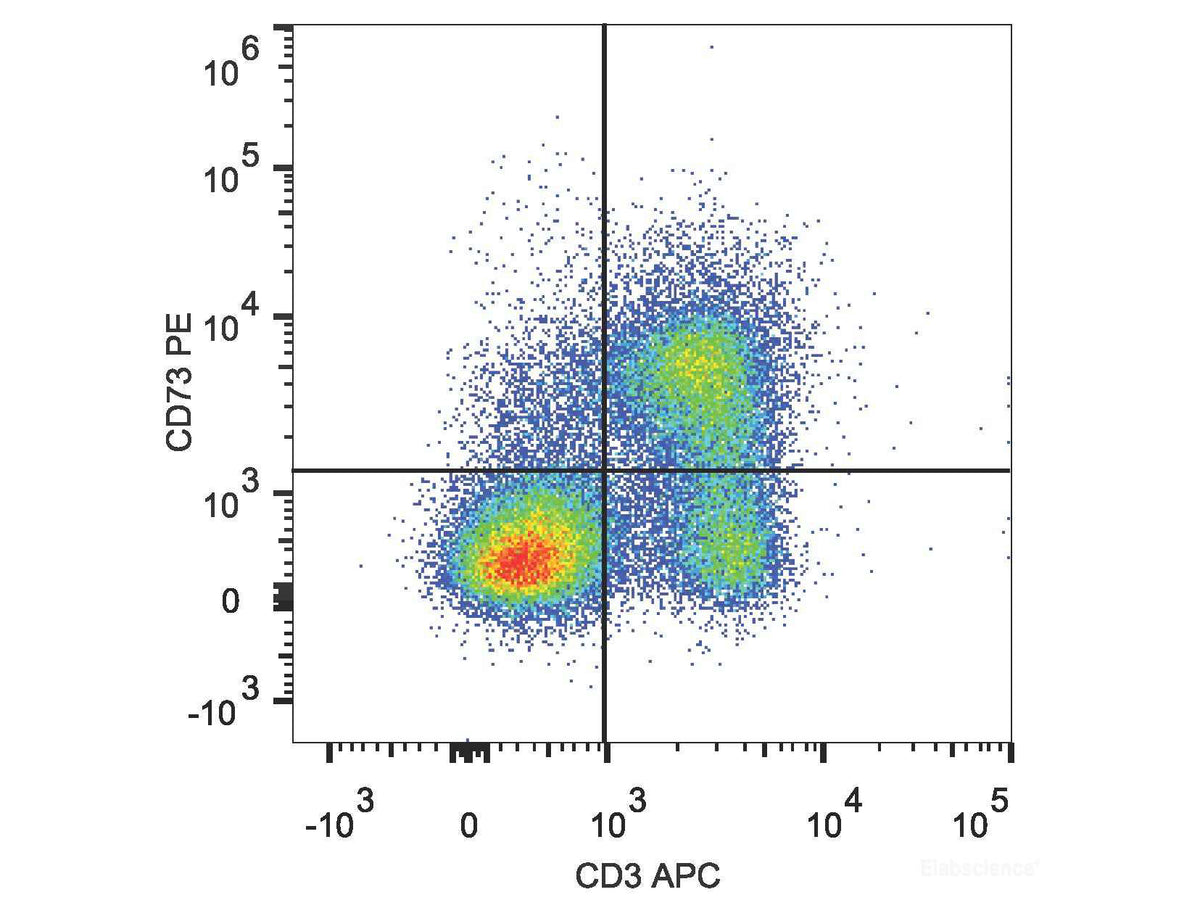 PE Anti-Mouse CD73 Antibody[TY/23], Biomarkers, Elabscience Biotechnology, MSE Supplies