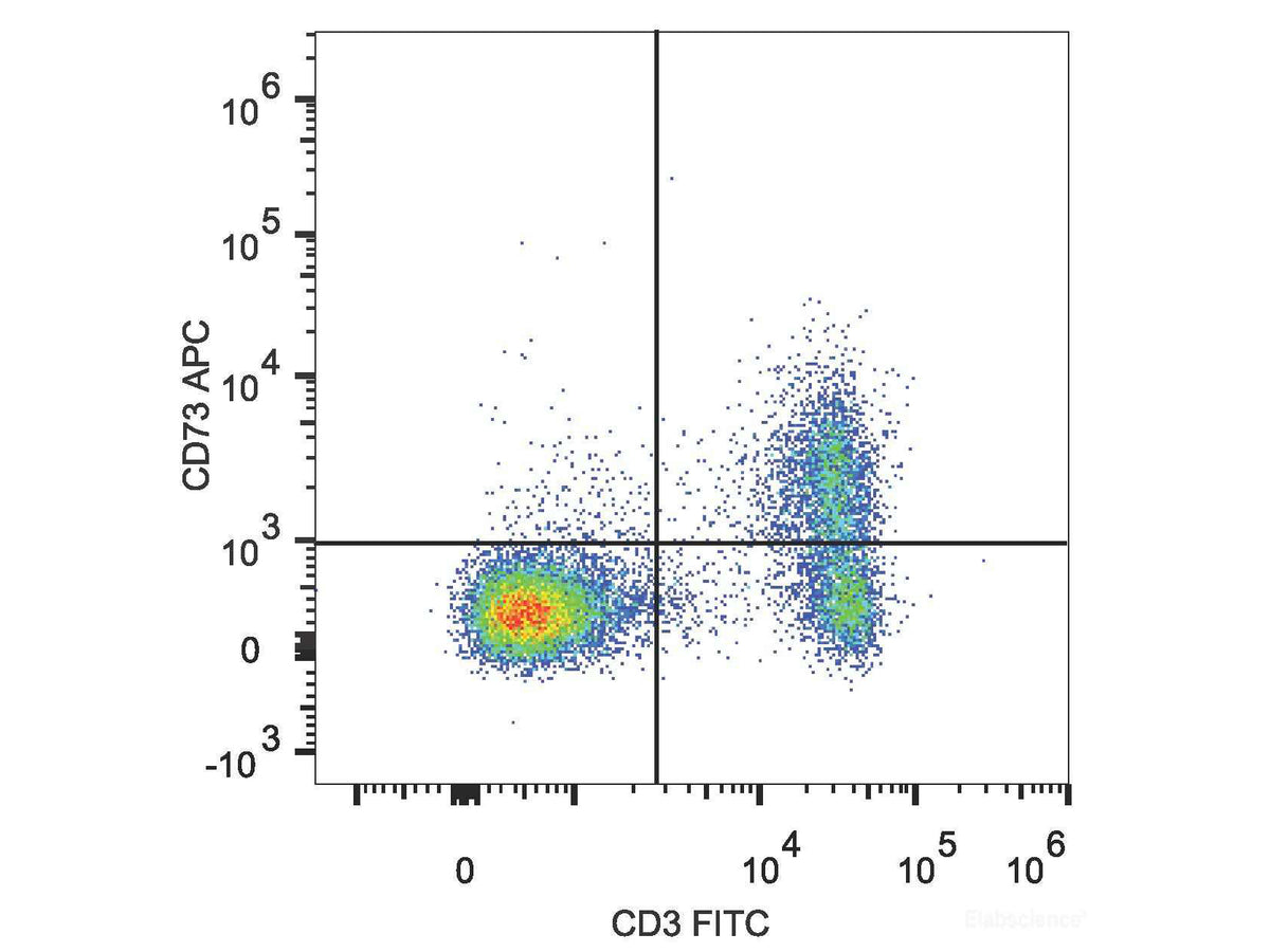 APC Anti-Mouse CD73 Antibody[TY/23], Biomarkers, Elabscience Biotechnology, MSE Supplies