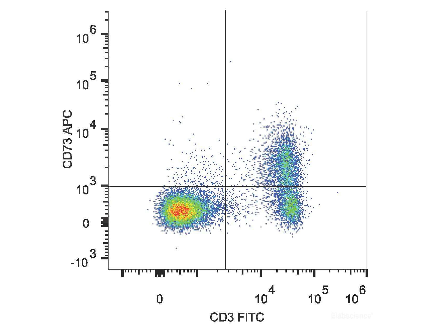 APC Anti-Mouse CD73 Antibody[TY/23], Biomarkers, Elabscience Biotechnology, MSE Supplies