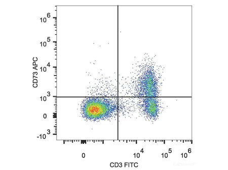 APC Anti-Mouse CD73 Antibody[TY/23], Biomarkers, Elabscience Biotechnology, MSE Supplies