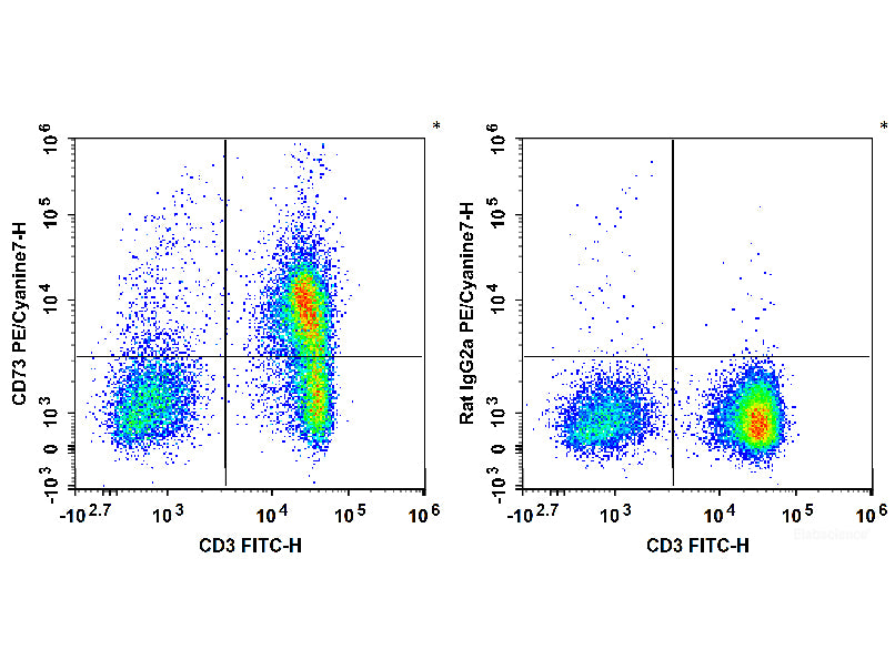 PE/Cyanine7 Anti-Mouse CD73 Antibody[TY/23], Biomarkers, Elabscience Biotechnology, MSE Supplies