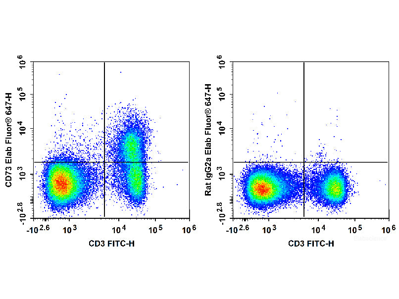 Elab Fluor® 647 Anti-Mouse CD73 Antibody[TY/23], Biomarkers, Elabscience Biotechnology, MSE Supplies