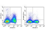 FITC Anti-Mouse CD73 Antibody[TY/23], Biomarkers, Elabscience Biotechnology, MSE Supplies