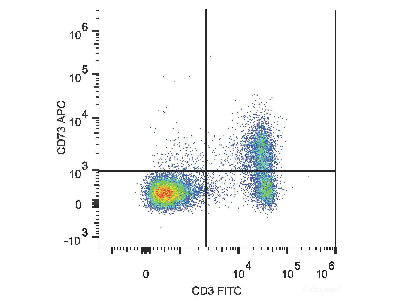 APC Anti-Mouse CD73 Antibody[TY/23], Biomarkers, Elabscience Biotechnology, MSE Supplies