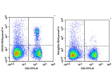PE/Cyanine7 Anti-Mouse CD103 Antibody[M290], Biomarkers, Elabscience Biotechnology, MSE Supplies