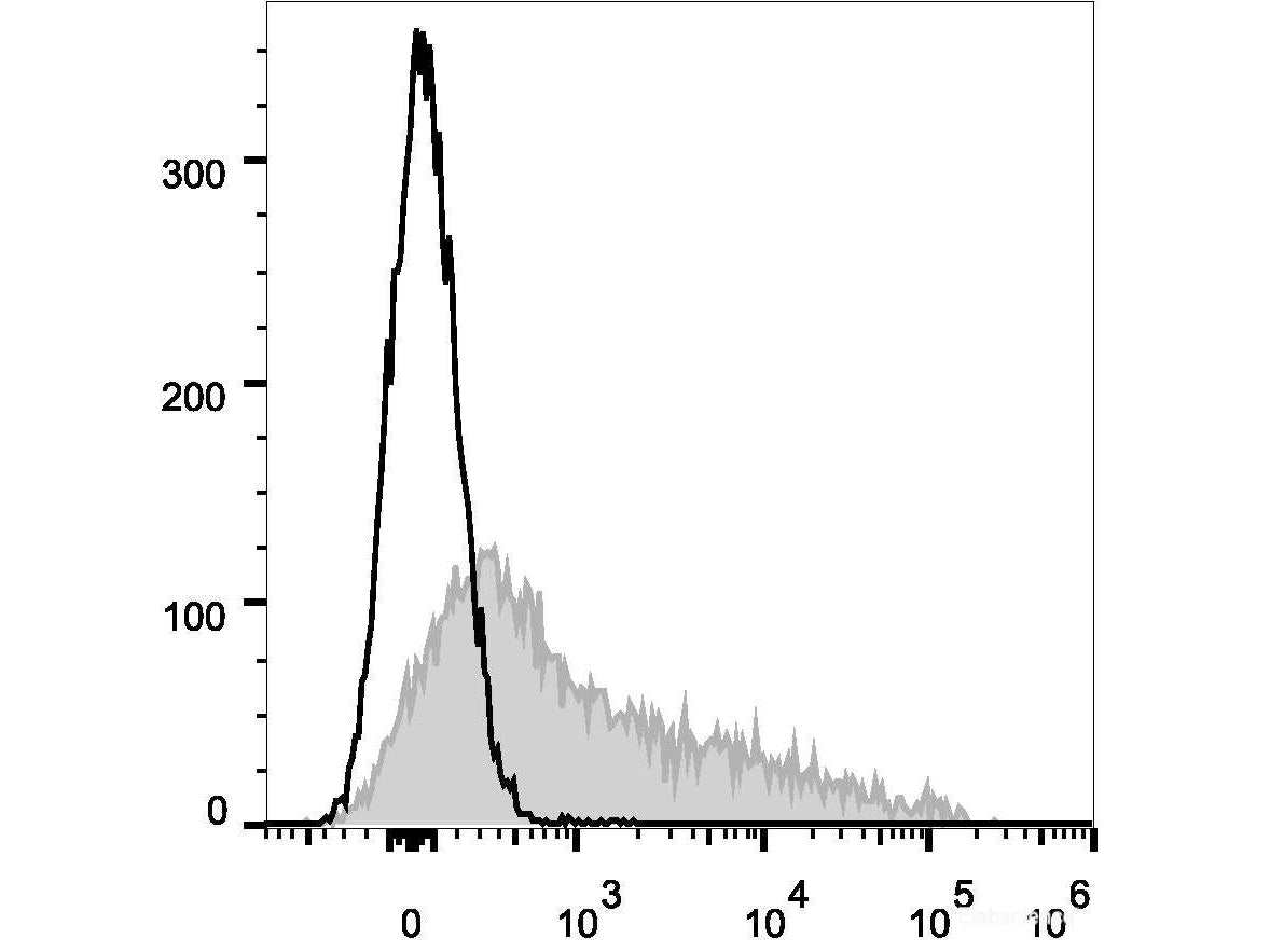 Elab Fluor® 647 Anti-Mouse CD106 Antibody[M/K-2.7], Biomarkers, Elabscience Biotechnology, MSE Supplies