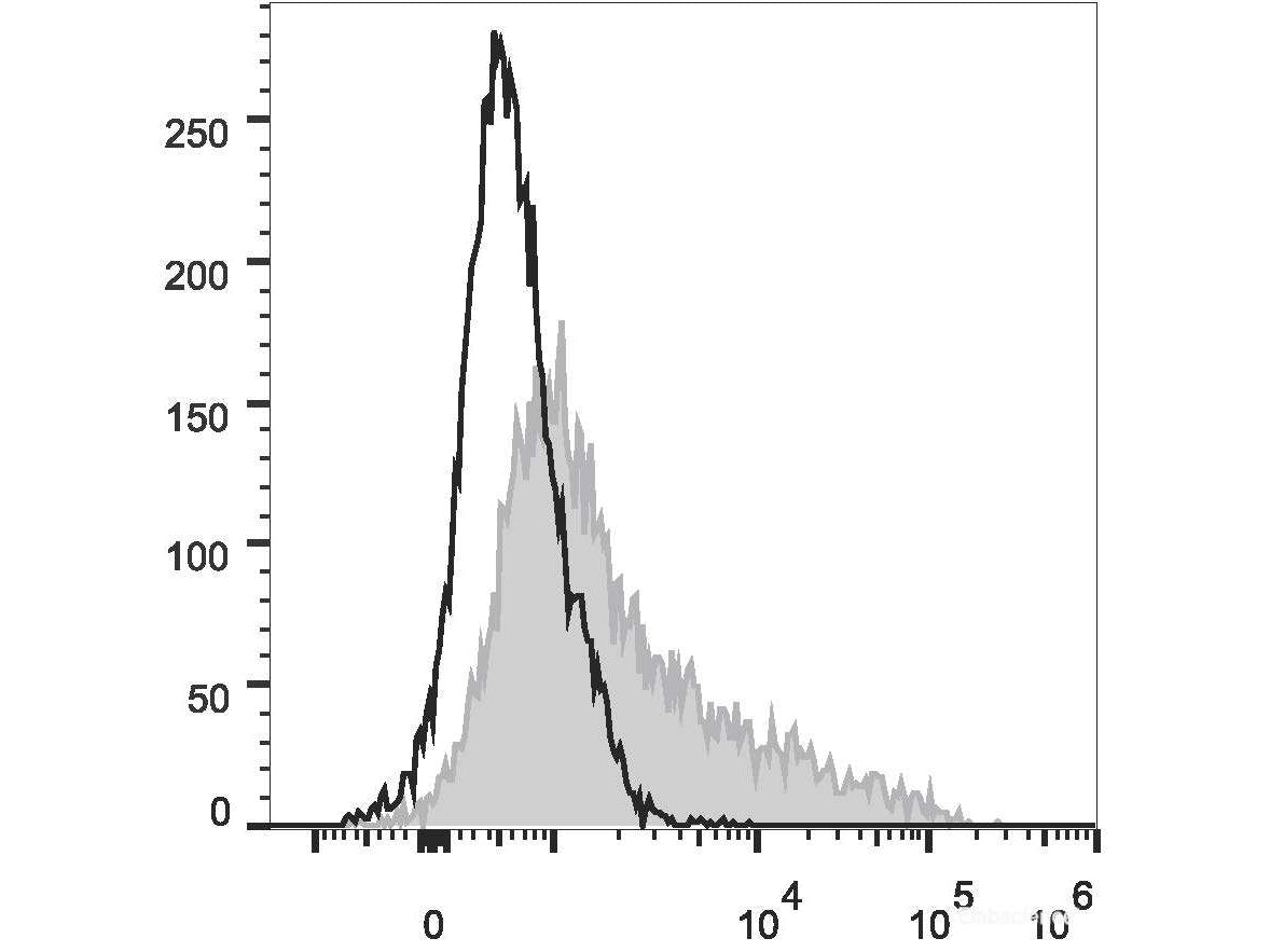 FITC Anti-Mouse CD106 Antibody[M/K-2.7], Biomarkers, Elabscience Biotechnology, MSE Supplies