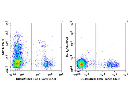 PE Anti-Mouse CD117/c-Kit Antibody[2B8], Biomarkers, Elabscience Biotechnology, MSE Supplies