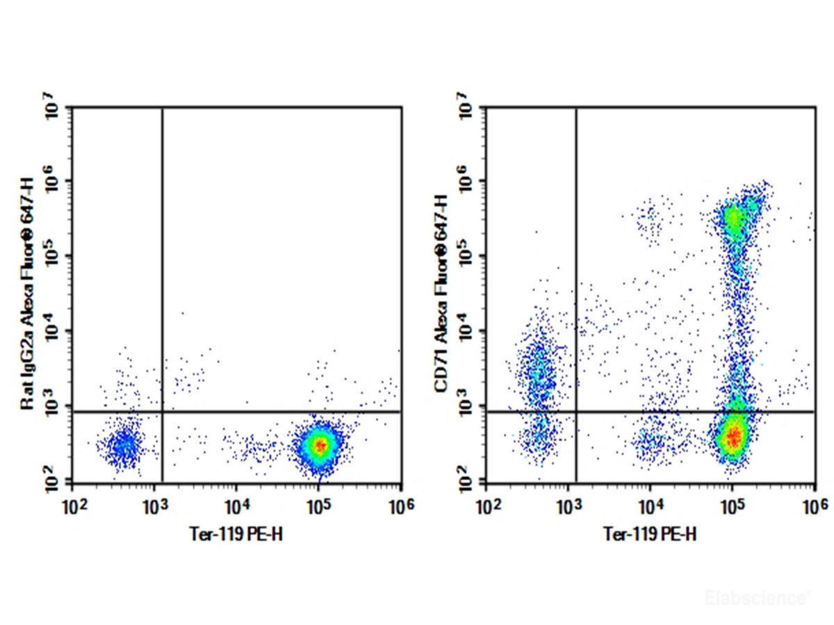 Purified Anti-Mouse CD71 Antibody[R17 217.1.3/TIB-219], Biomarkers, Elabscience Biotechnology, MSE Supplies