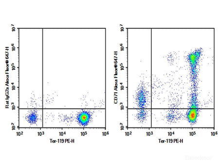 Purified Anti-Mouse CD71 Antibody[R17 217.1.3/TIB-219], Biomarkers, Elabscience Biotechnology, MSE Supplies
