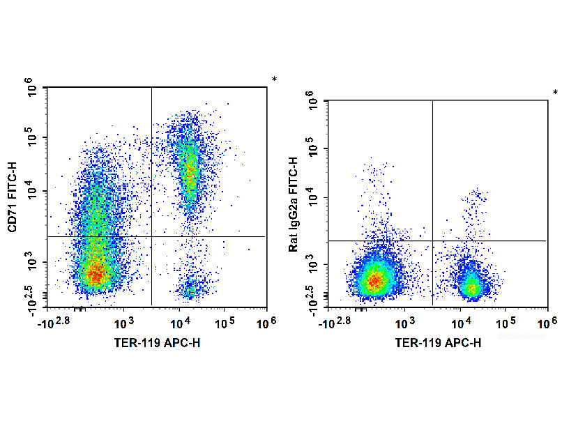 FITC Anti-Mouse CD71 Antibody[R17 217.1.3/TIB-219], Biomarkers, Elabscience Biotechnology, MSE Supplies