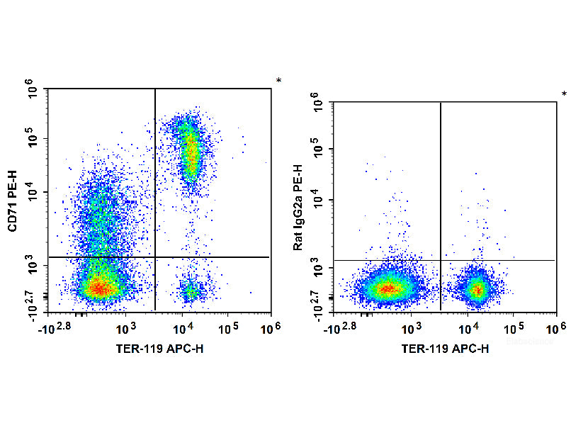 PE Anti-Mouse CD71 Antibody[R17 217.1.3/TIB-219], Biomarkers, Elabscience Biotechnology, MSE Supplies