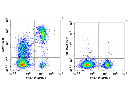 PE Anti-Mouse CD71 Antibody[R17 217.1.3/TIB-219], Biomarkers, Elabscience Biotechnology, MSE Supplies
