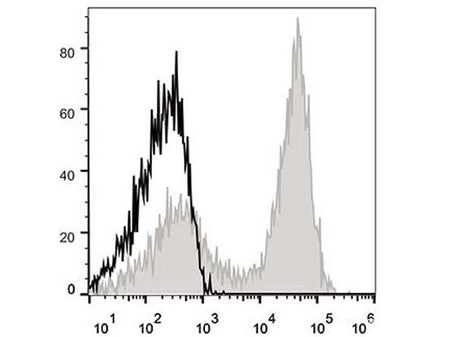 APC Anti-Mouse CD90.2/Thy1.2 Antibody[30H12], Biomarkers, Elabscience Biotechnology, MSE Supplies