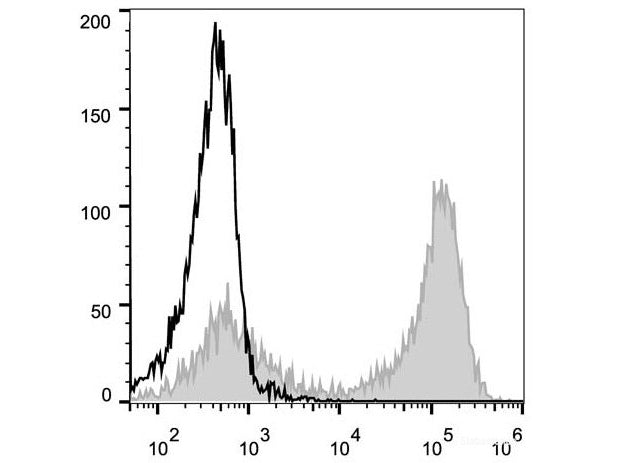 PE Anti-Mouse CD90.2/Thy1.2 Antibody[30H12], Biomarkers, Elabscience Biotechnology, MSE Supplies