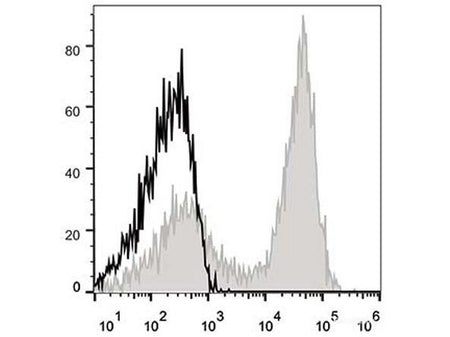 APC Anti-Mouse CD90.2/Thy1.2 Antibody[30H12], Biomarkers, Elabscience Biotechnology, MSE Supplies