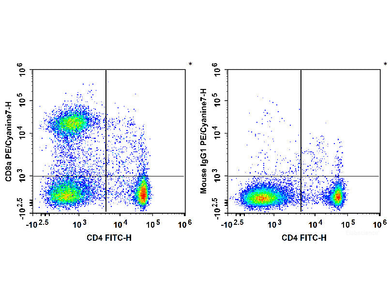 PE/Cyanine7 Anti-Rat CD8a Antibody[OX-8], Biomarkers, Elabscience Biotechnology, MSE Supplies