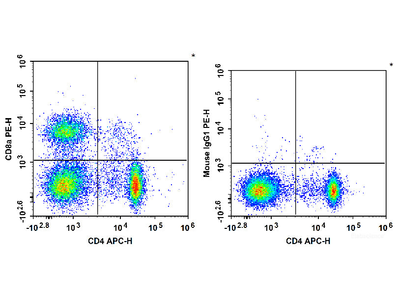 PE Anti-Rat CD8a Antibody[OX-8], Biomarkers, Elabscience Biotechnology, MSE Supplies