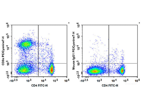 PE/Cyanine7 Anti-Rat CD8a Antibody[OX-8], Biomarkers, Elabscience Biotechnology, MSE Supplies