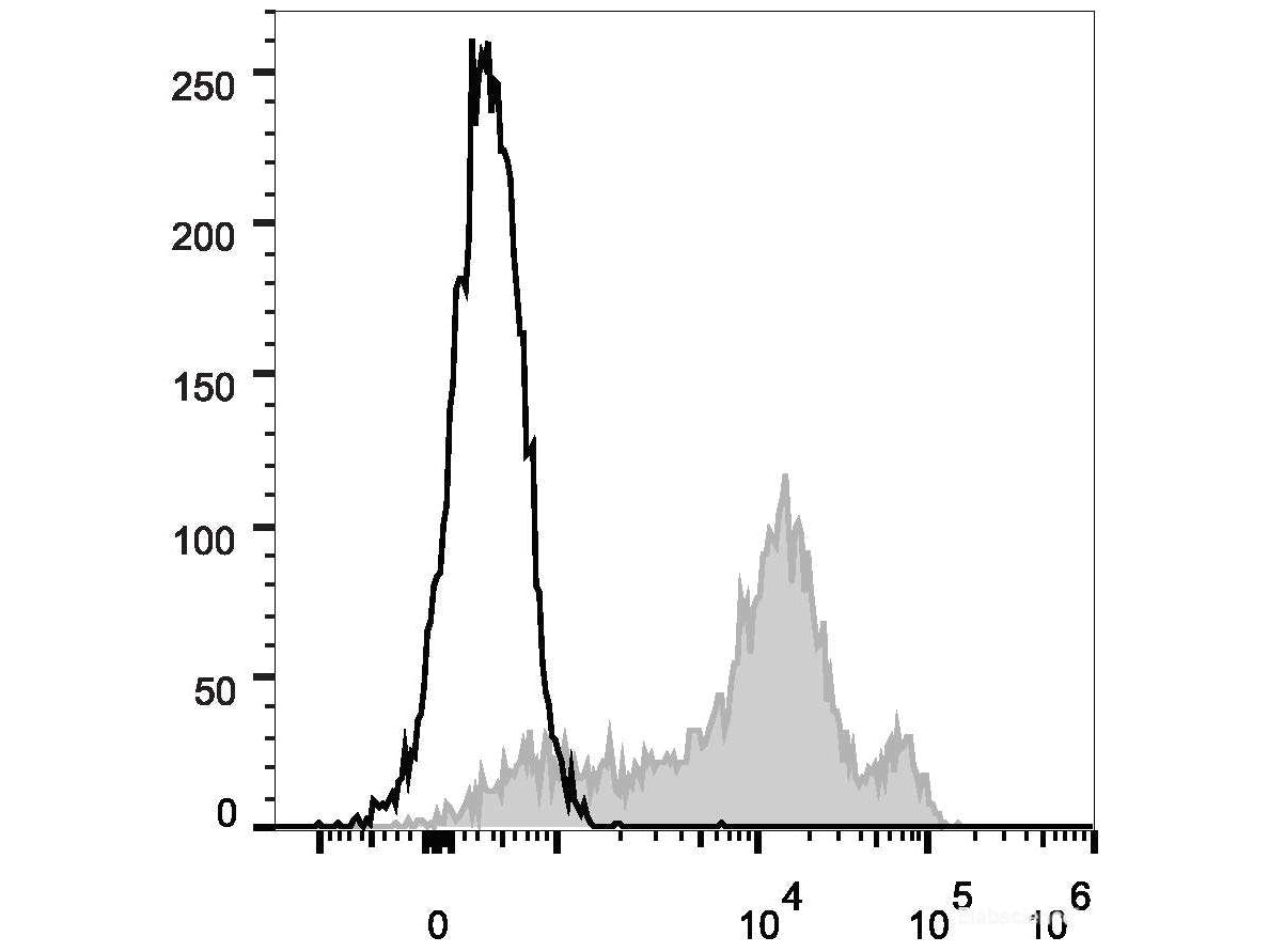 FITC Anti-Human/Mouse CD44 Antibody[IM7], Biomarkers, Elabscience Biotechnology, MSE Supplies