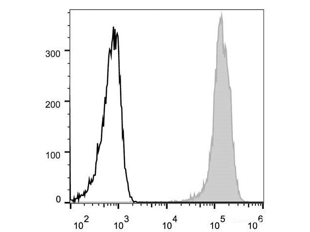 Elab Fluor® 488 Anti-Human/Mouse CD44 Antibody[IM7], Biomarkers, Elabscience Biotechnology, MSE Supplies