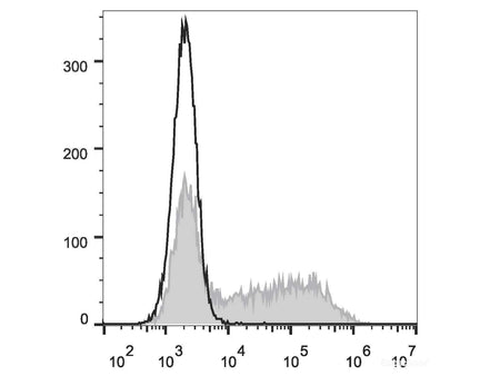 PE Anti-Mouse IFN-γ Antibody[XMG1.2], Biomarkers, Elabscience Biotechnology, MSE Supplies