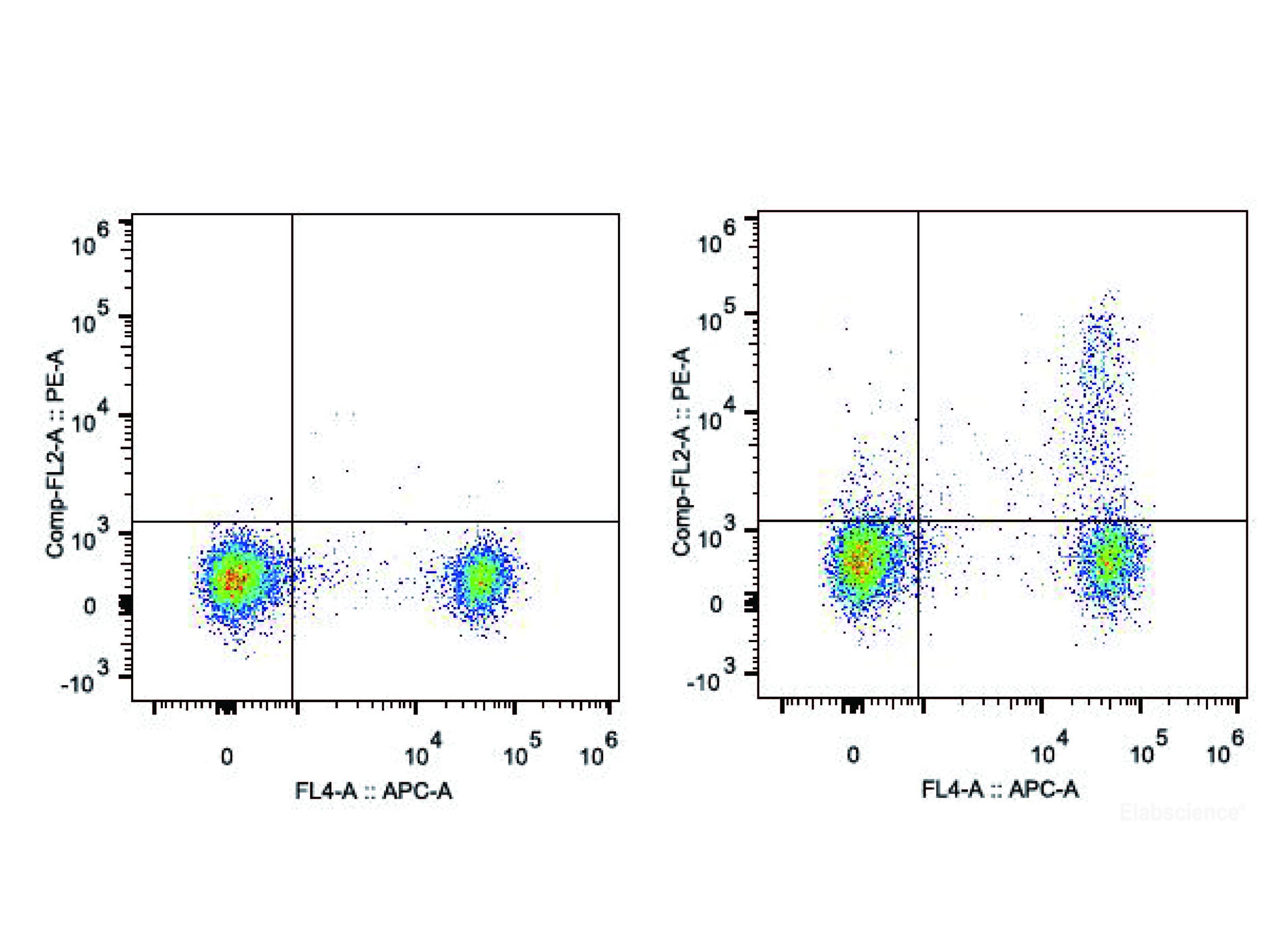 PE Anti-Mouse CD25 Antibody[PC-61.5.3], Biomarkers, Elabscience Biotechnology, MSE Supplies