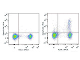 PE Anti-Mouse CD25 Antibody[PC-61.5.3], Biomarkers, Elabscience Biotechnology, MSE Supplies