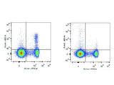 APC Anti-Mouse CD25 Antibody[PC-61.5.3], Biomarkers, Elabscience Biotechnology, MSE Supplies