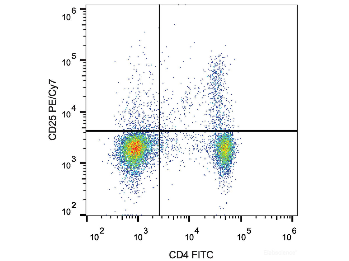 PE/Cyanine7 Anti-Mouse CD25 Antibody[PC-61.5.3], Biomarkers, Elabscience Biotechnology, MSE Supplies