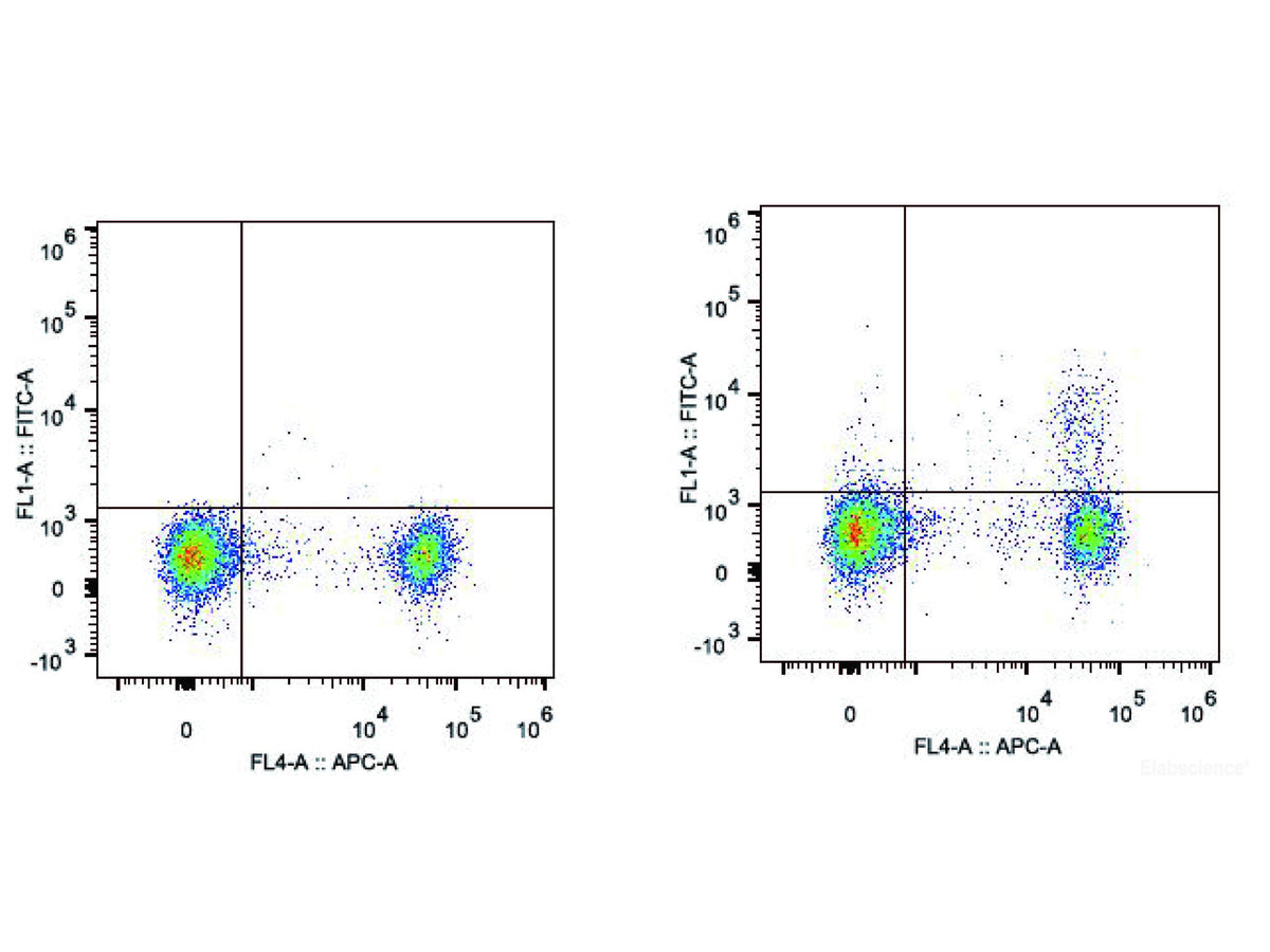 Elab Fluor® 488 Anti-Mouse CD25 Antibody[PC-61.5.3], Biomarkers, Elabscience Biotechnology, MSE Supplies