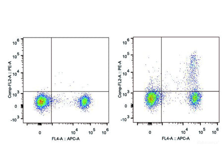 PE Anti-Mouse CD25 Antibody[PC-61.5.3], Biomarkers, Elabscience Biotechnology, MSE Supplies