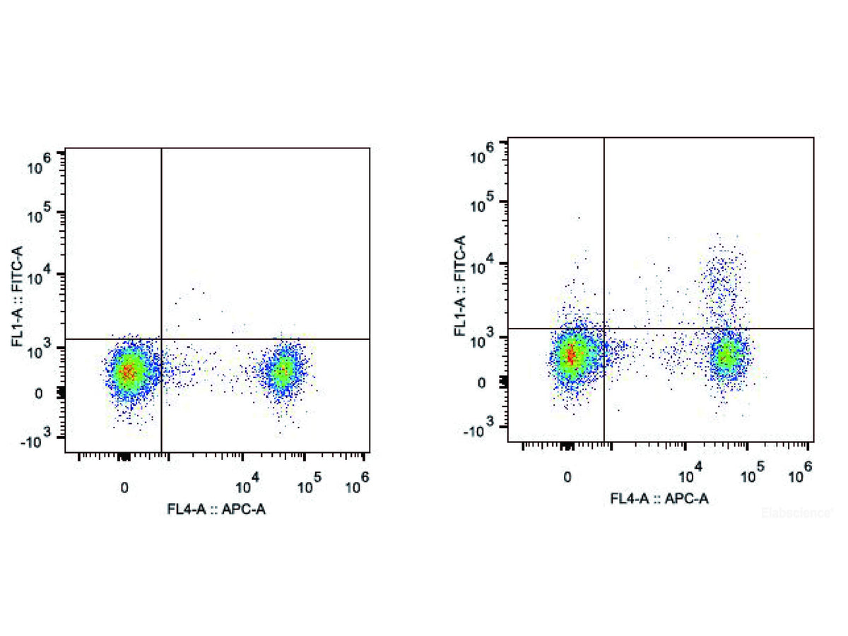 Elab Fluor® 488 Anti-Mouse CD25 Antibody[PC-61.5.3], Biomarkers, Elabscience Biotechnology, MSE Supplies