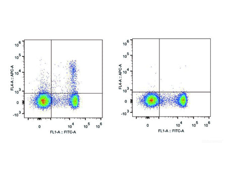 Elab Fluor® 647 Anti-Mouse CD25 Antibody[PC-61.5.3], Biomarkers, Elabscience Biotechnology, MSE Supplies