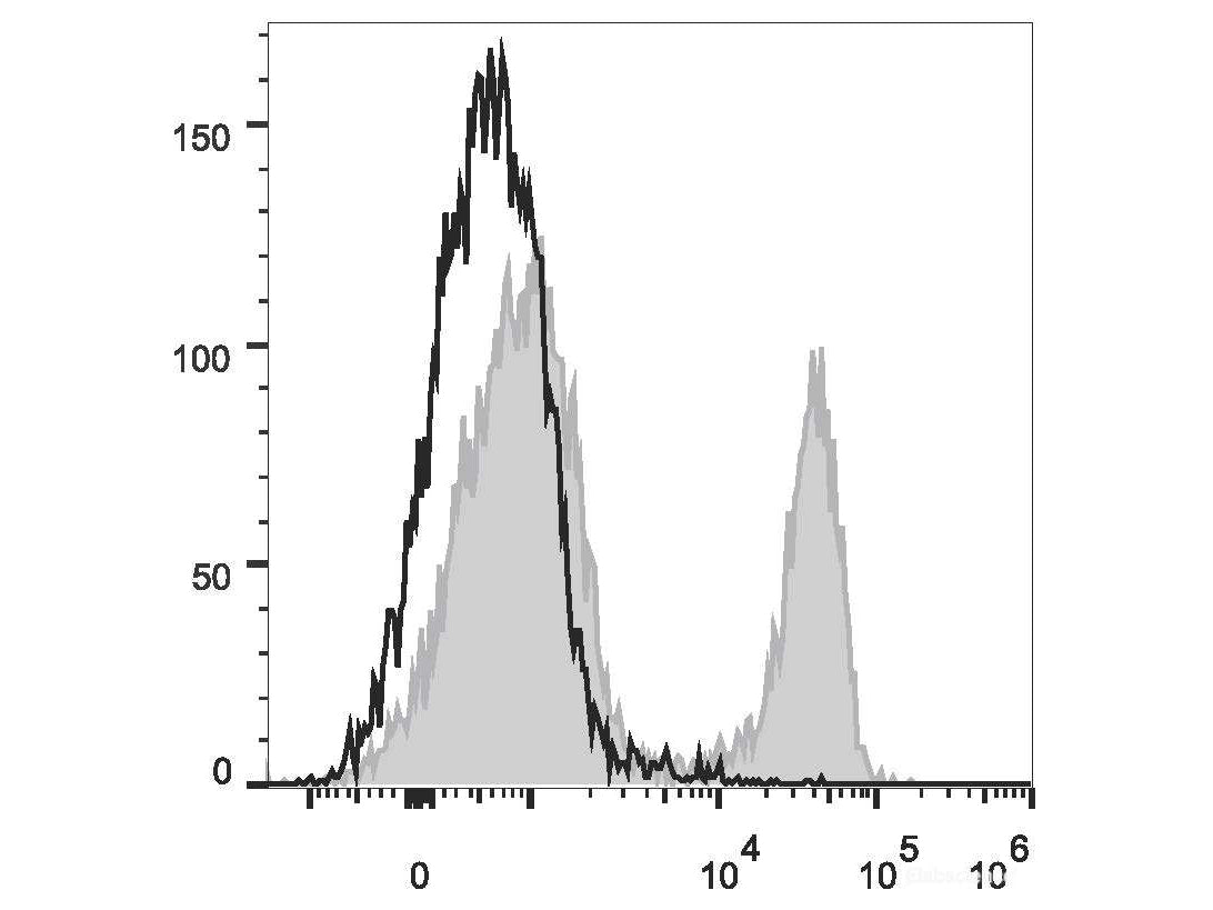 FITC Anti-Mouse CD3ε Antibody[145-2C11], Biomarkers, Elabscience Biotechnology, MSE Supplies