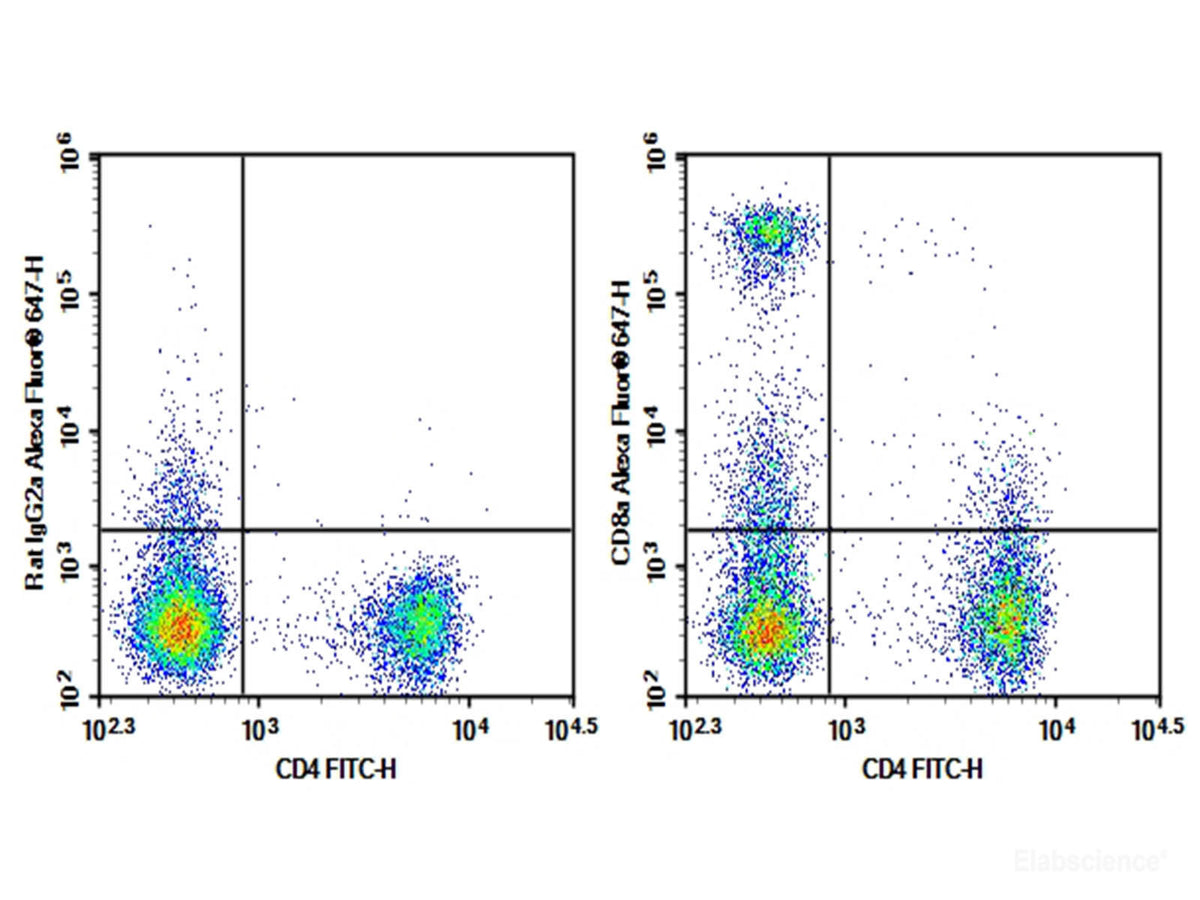 AF/LE Purified Anti-Mouse CD8a Antibody[53-6.7], Biomarkers, Elabscience Biotechnology, MSE Supplies