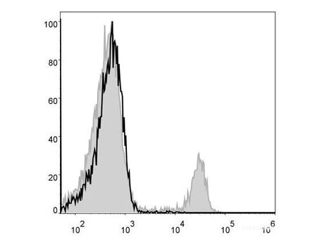 FITC Anti-Mouse CD8a Antibody[53-6.7], Biomarkers, Elabscience Biotechnology, MSE Supplies