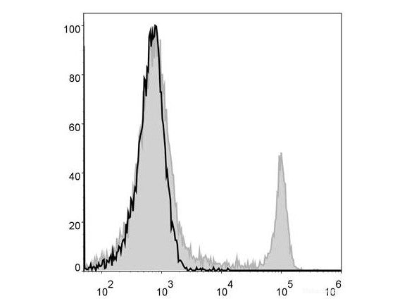Elab Fluor® 488 Anti-Mouse CD8a Antibody[53-6.7], Biomarkers, Elabscience Biotechnology, MSE Supplies