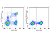 PE/Cyanine5 Anti-Rat CD4(domain 1) Antibody[OX-38], Biomarkers, Elabscience Biotechnology, MSE Supplies
