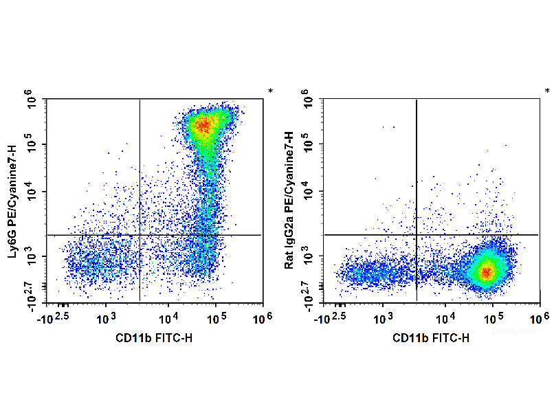 PE/Cyanine7 Anti-Mouse Ly6G Antibody[1A8], Biomarkers, Elabscience Biotechnology, MSE Supplies