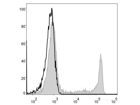 Elab Fluor® 488 Anti-Human CD8a Antibody[OKT-8], Biomarkers, Elabscience Biotechnology, MSE Supplies