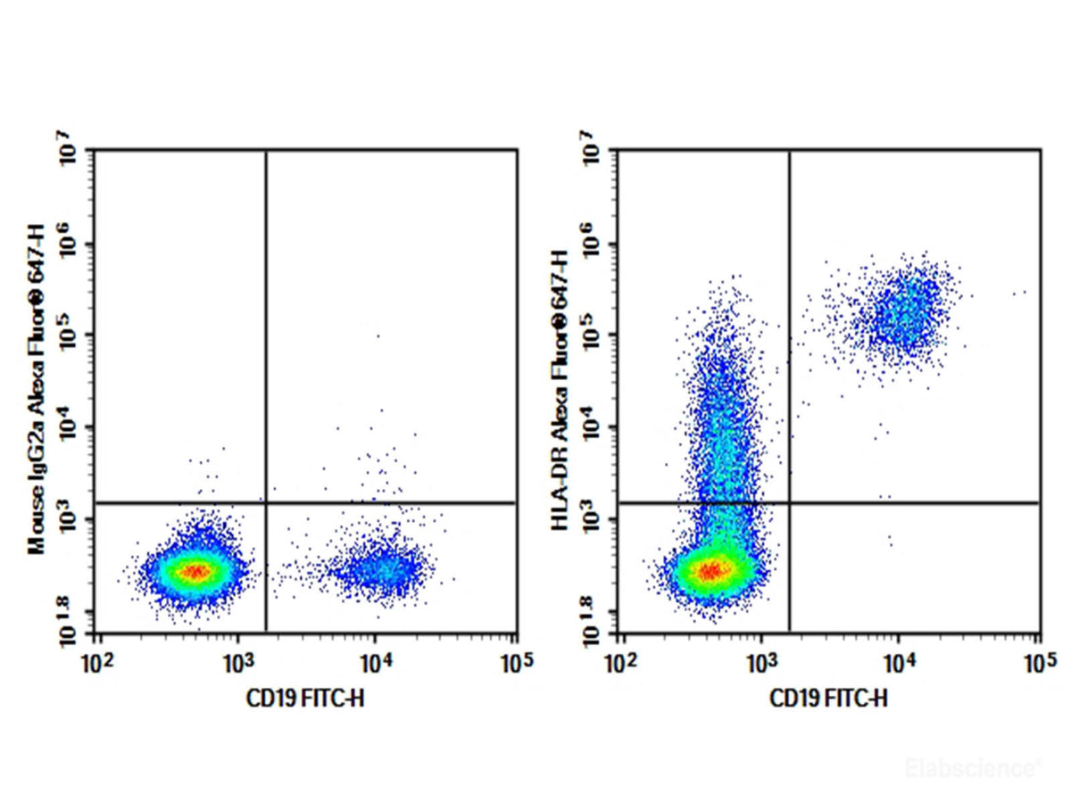 AF/LE Purified Anti-Human HLA-DR Antibody[L243], Biomarkers, Elabscience Biotechnology, MSE Supplies
