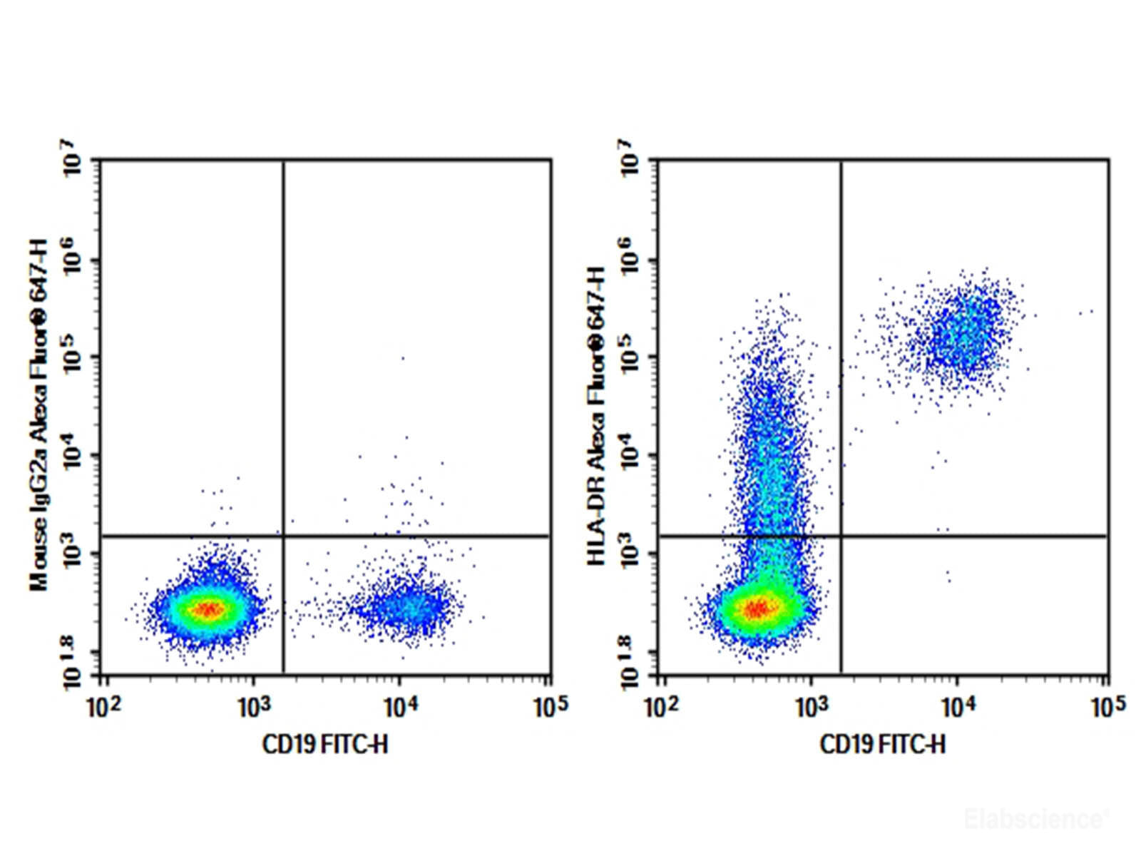 Purified Anti-Human HLA-DR Antibody[L243], Biomarkers, Elabscience Biotechnology, MSE Supplies