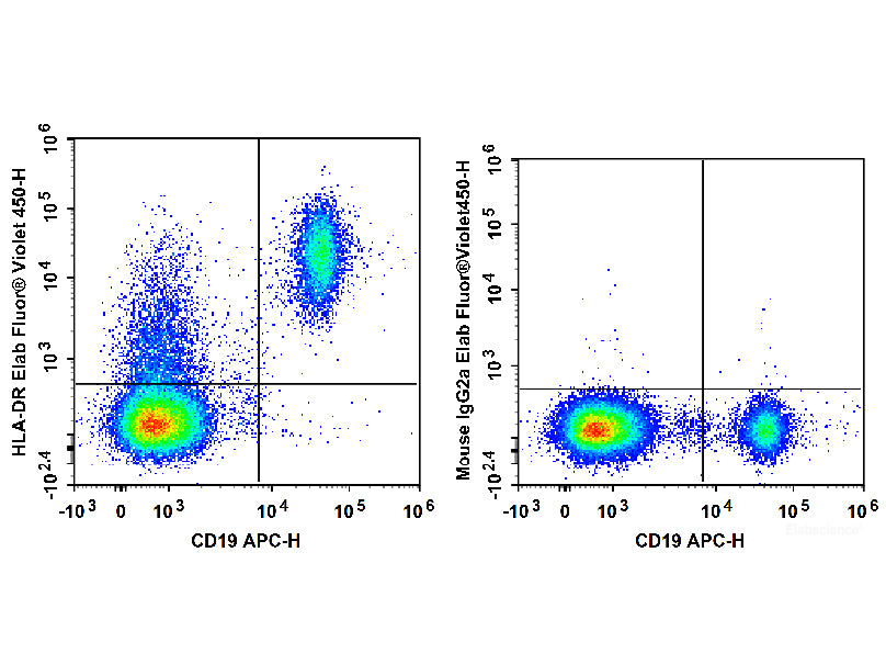 Elab Fluor® Violet 450 Anti-Human HLA-DR Antibody[L243], Biomarkers, Elabscience Biotechnology, MSE Supplies